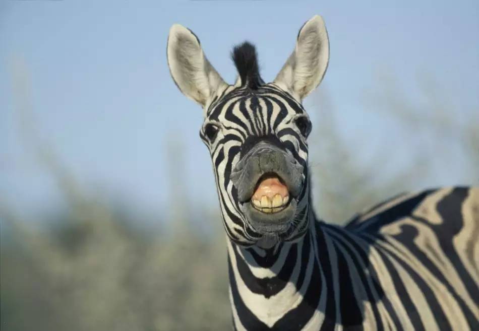 那些听着很好笑实际很悲伤的故事,愚人节的玩笑也可以是真的