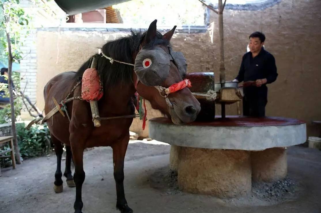 原创｜重新定义乡村旅游营销策略——8P