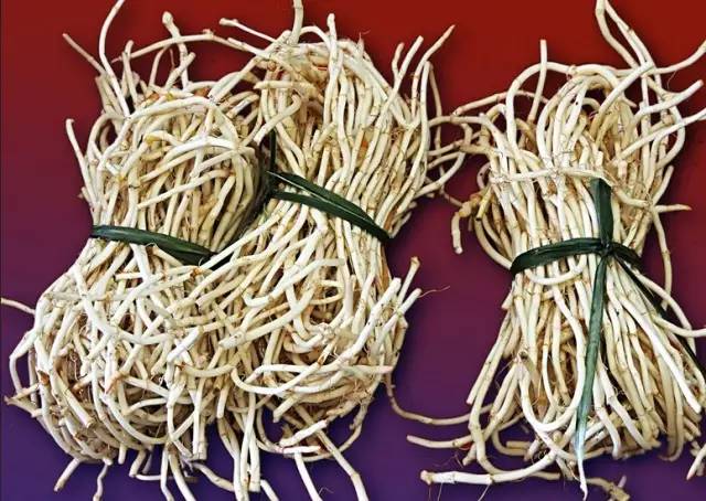 开春挖野菜教你轻松识别18种野菜,您知道春季最养肝护肝的野菜吗