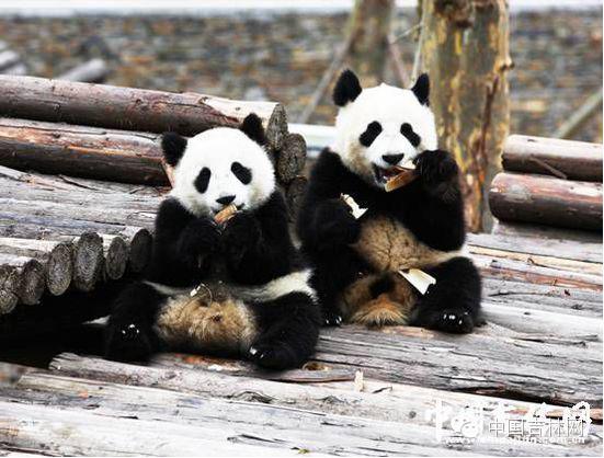 吉林暑假旅游自驾攻略,国庆吉林自驾游必去的十个景点