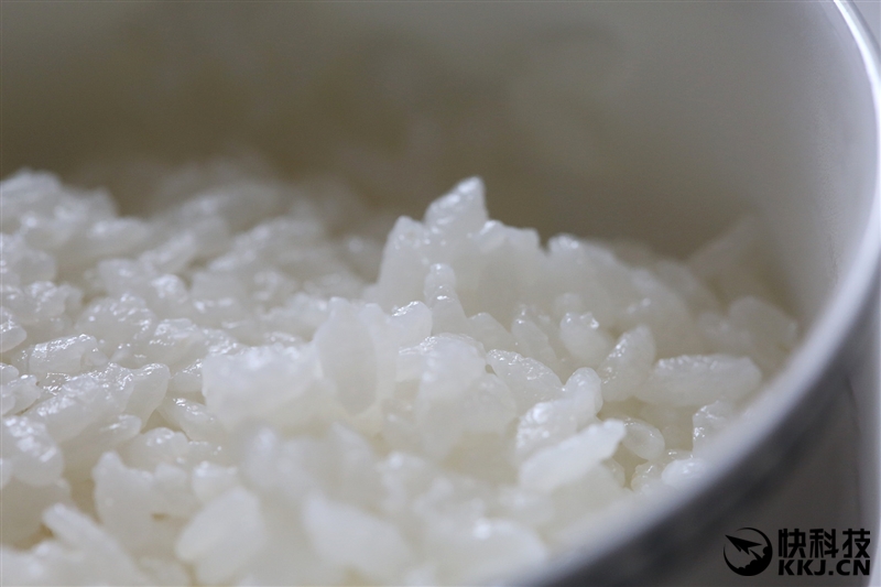 小米电饭煲价格那么多怎么选,小米电饭煲199评测