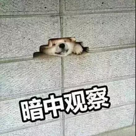 第一次去婆婆家应该注意些什么,第一次去婆婆家的流程