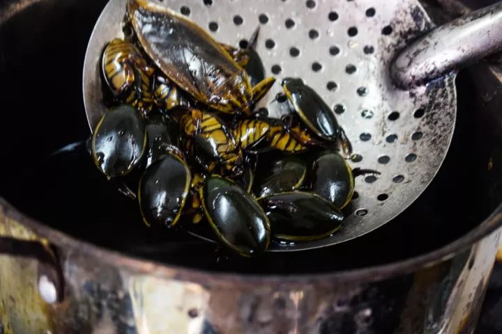 番禺区钟村南站,番禺钟村站