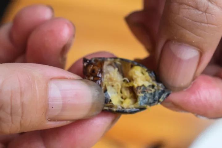 番禺区钟村南站,番禺钟村站