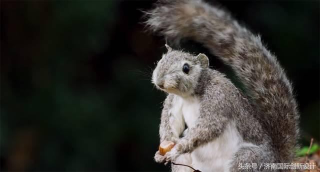 这34个间谍，每天只干一件事：*窥偷**！还拍成电影全球上映？
