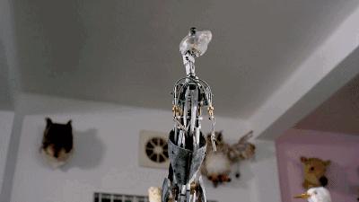 这34个间谍，每天只干一件事：*窥偷**！还拍成电影全球上映？