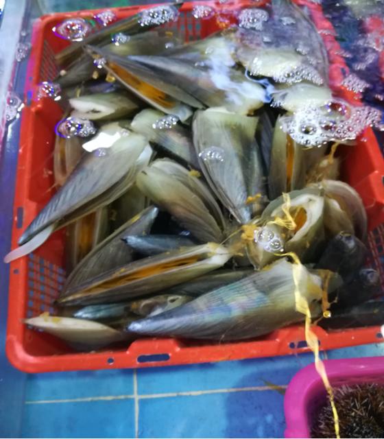 三亚必买10件礼物,三亚免税城购物攻略