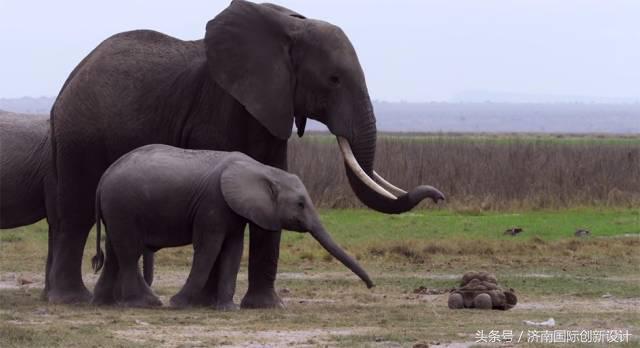 这34个间谍，每天只干一件事：*窥偷**！还拍成电影全球上映？