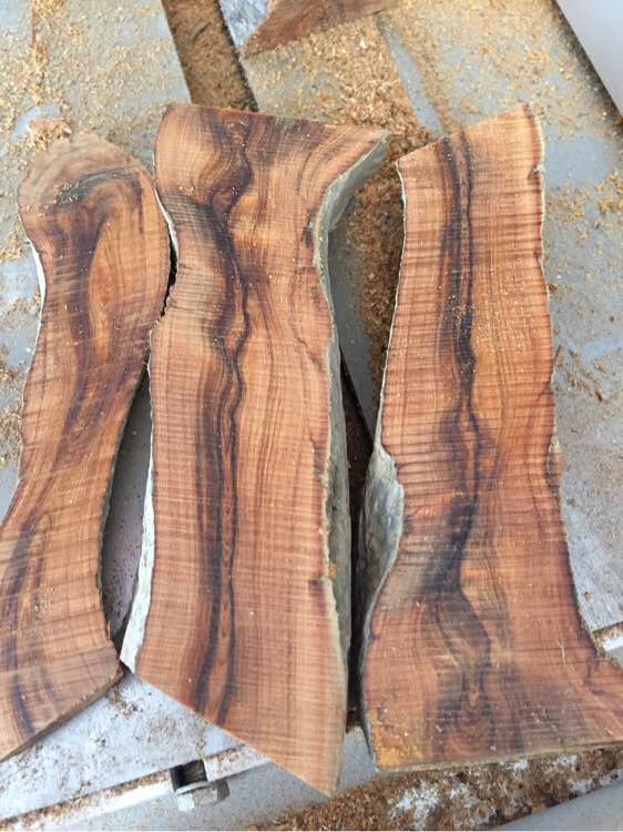 崖柏手串的历史,关于崖柏的那些事