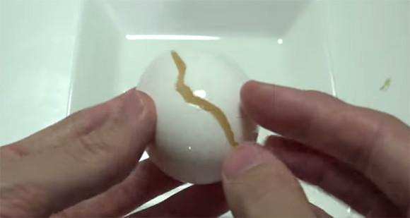 鸡蛋冷冻后能不能孵出来,冷冻的鸡蛋化开还能吃吗