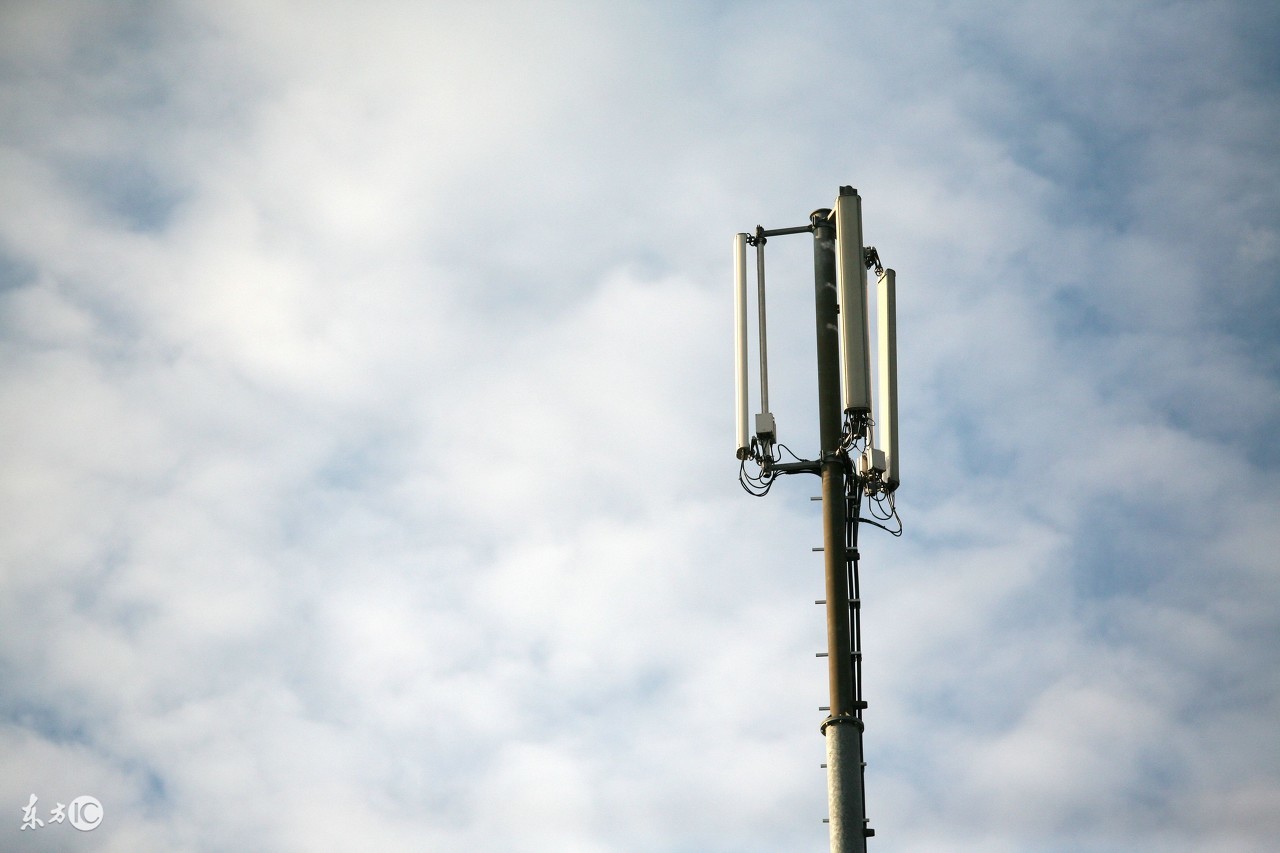 大型观赏鱼淡水鱼类大全,淡水凶猛鱼类观赏鱼推荐