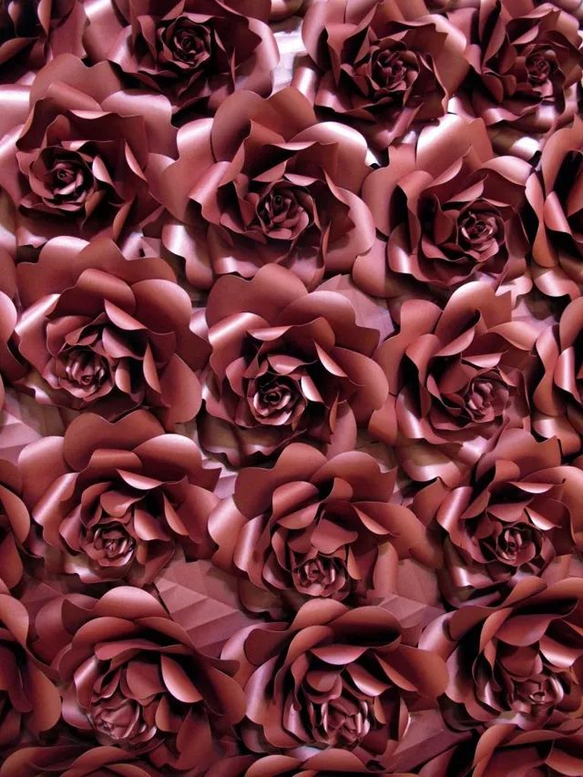 一张纸的华丽转身,一张纸的艺术美文