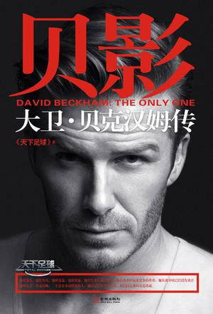 皮尔洛退役意大利队,皮尔洛退役天下足球