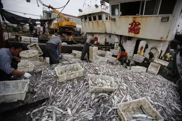 科普厦门海鲜市场,厦门哪里海鲜批发市场海鲜便宜