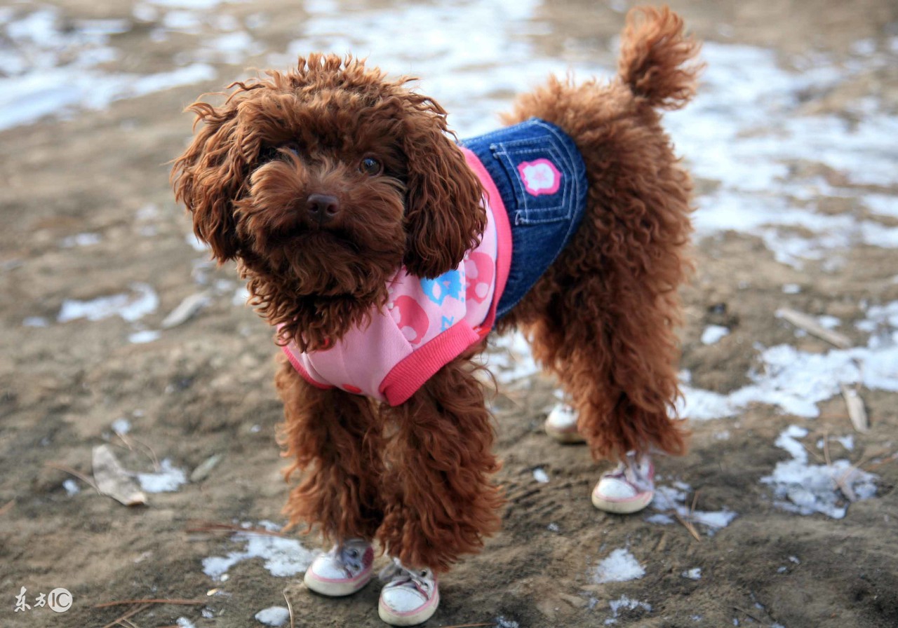 微商套路大揭秘精准引流,微商引流套路