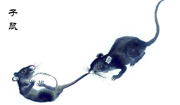 1984年属鼠人今年的运势如何,1984年属鼠的人今年的运势情况