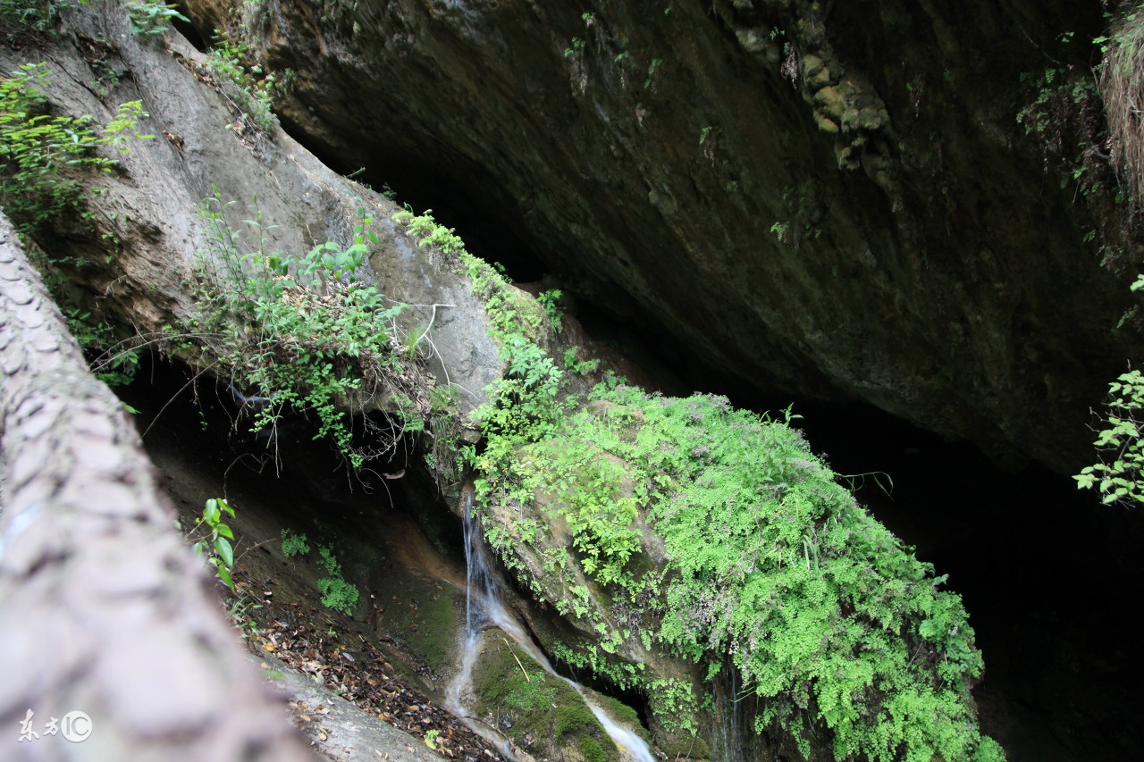 厦门日月谷温泉房价多少钱,厦门日月谷温泉度假村