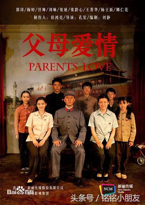 二十部国产高分电视剧你看过几部,高分电视剧国产9.0以上