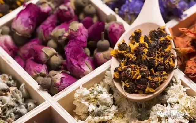 花草茶种类大全,花草茶知识