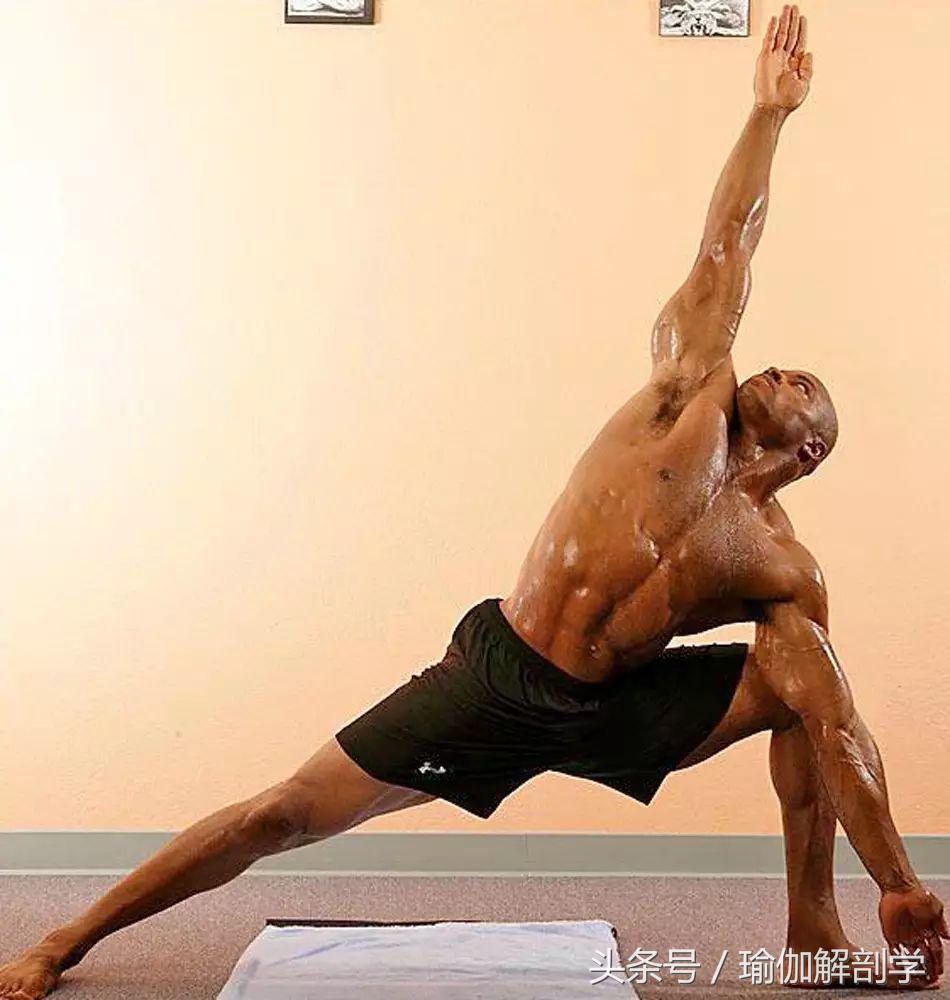 运动员为什么要练瑜伽,为什么运动员都去练瑜伽