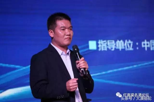 洋河小曲酒怎么样啊,洋河小曲上市