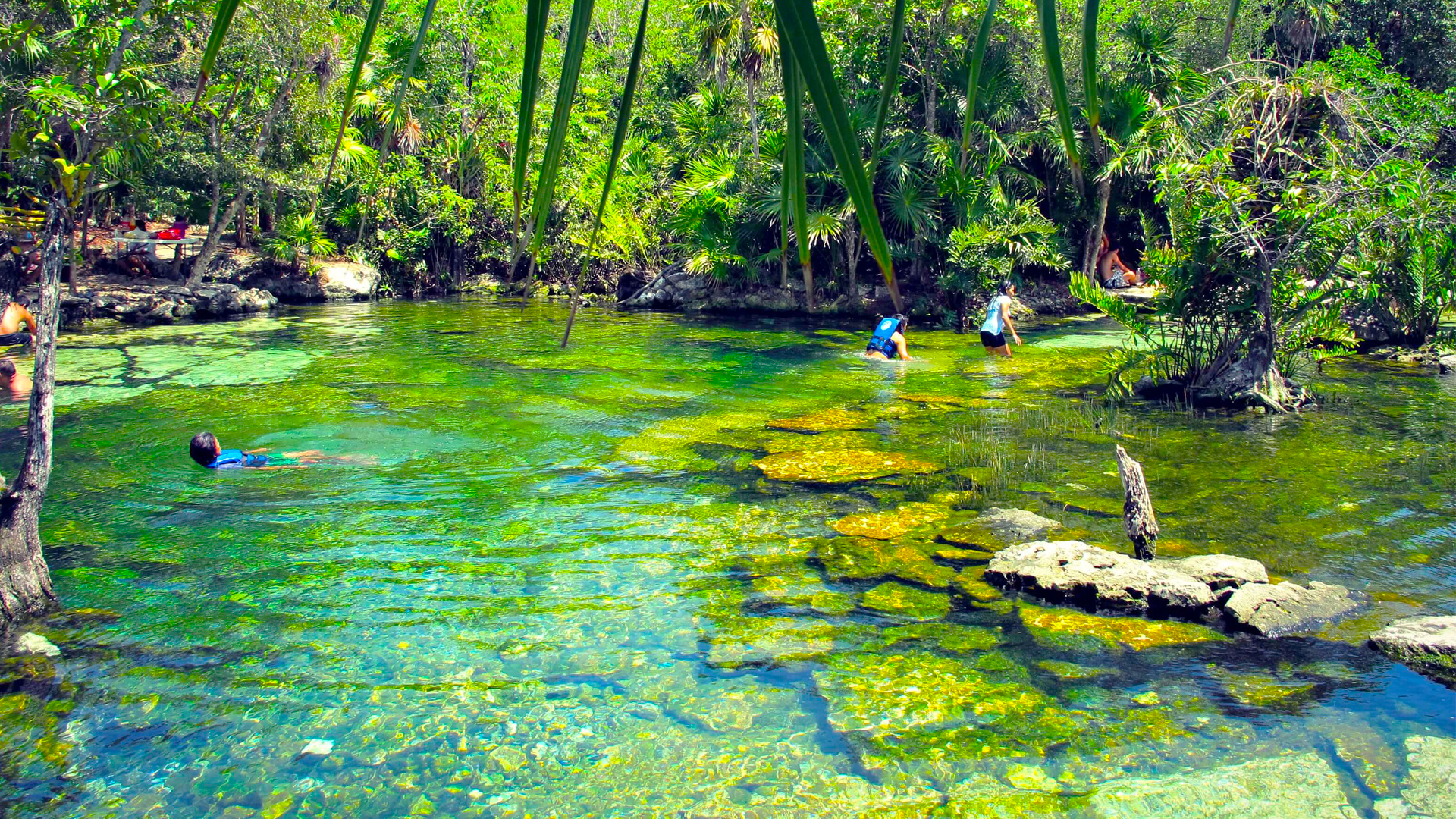 探索玛雅圣井,玛雅水下洞穴探秘