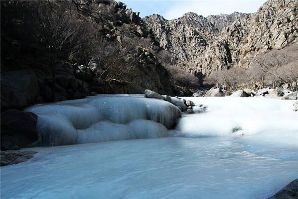 宁夏回族自治区银川市西夏区医院,宁夏回族自治区银川市西夏区
