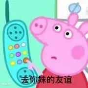 小猪佩奇最反映人性的一集,是不是小猪佩奇都有这样的表情