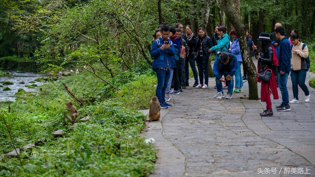 武陵源，秋之颂歌！