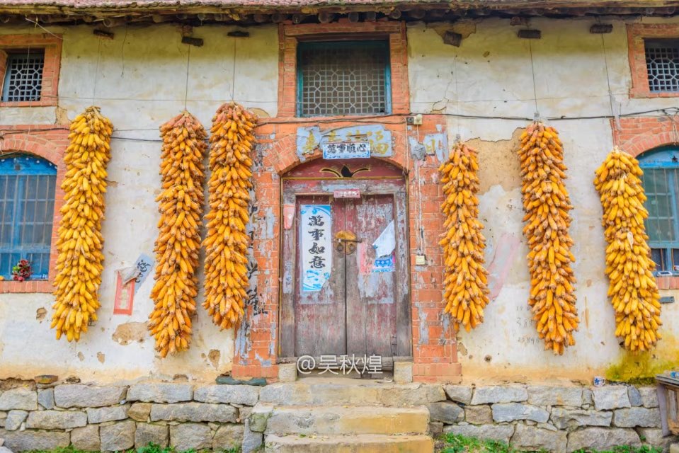 洛阳千年银杏林免费景点,洛阳有银杏叶的公园视频