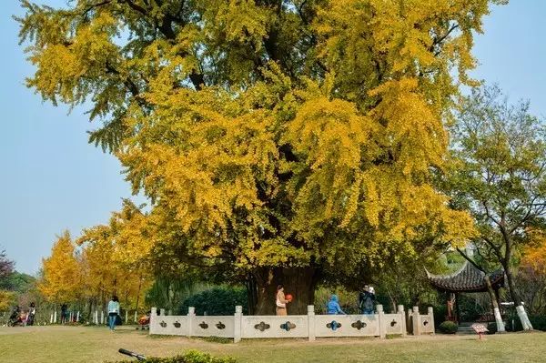 上海各个景点及路线图,上海周边公交车地铁可以到的景点