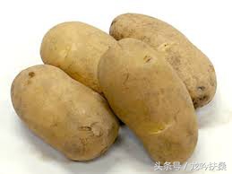 “男爵”和“五月皇后”：北海道土豆的头衔真是高大上