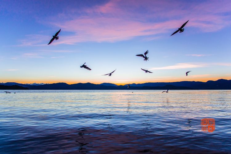 泸沽湖的静谧之美,美丽而又神秘的泸沽湖