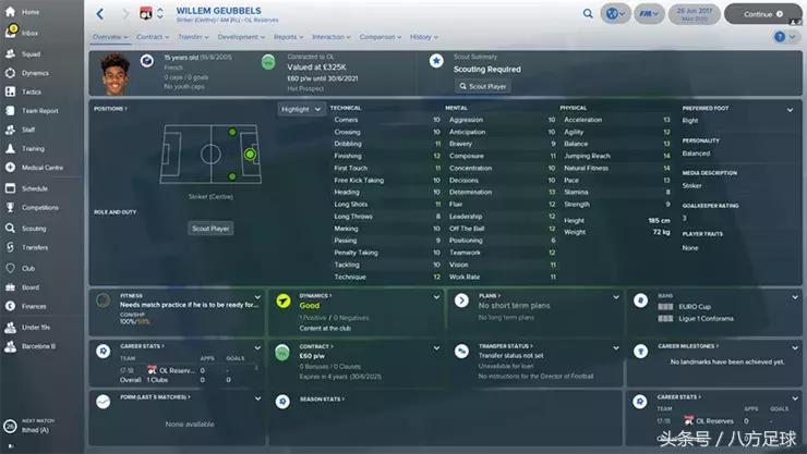 fm2018可玩性高的球队,fm2018青训小牛