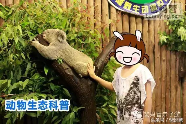 江浙沪十佳亲子酒店,适合亲子酒店推荐