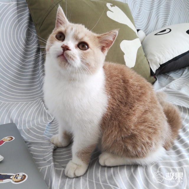 千元手机性能续航排名第一,荣耀畅玩7x详细评测