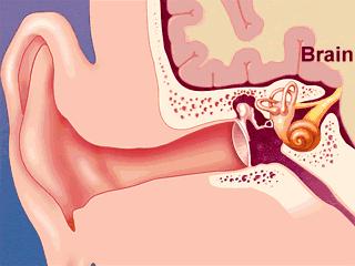 滴鼻液治疗中耳炎正确的滴法,鼻喷剂治疗中耳炎靠谱吗