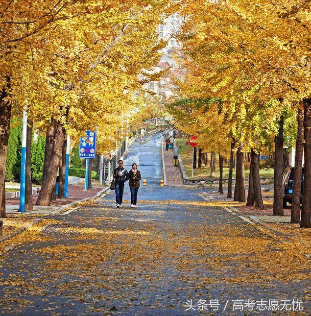 依山伴海,这样的大连理工大学你喜欢吗?