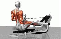 背部训练动作背心,教你几招新的背部训练动作