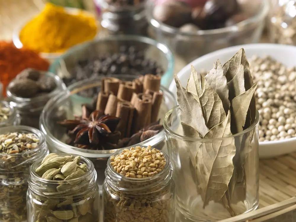 高大上的月桂，就在我们身边