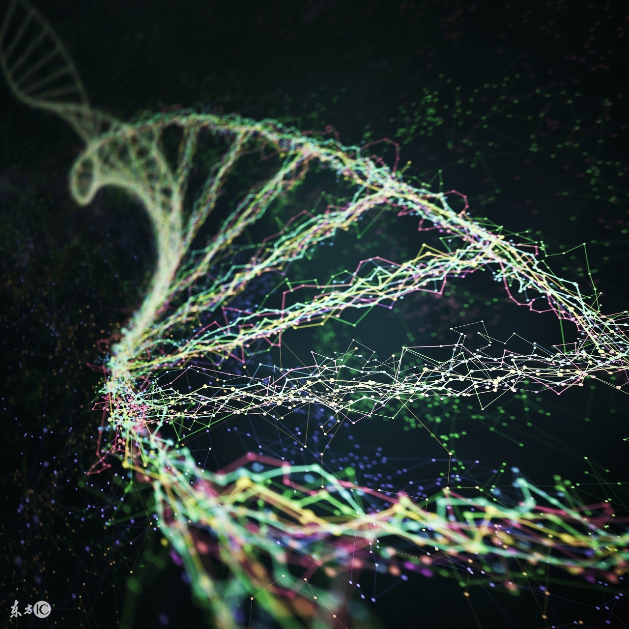 crispr基因治疗,crispr需要测基因序列吗