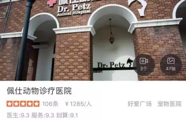中国为什么没有正规的宠物医院,国内靠谱的宠物医院
