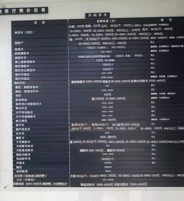 中国为什么没有正规的宠物医院,国内靠谱的宠物医院