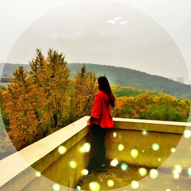 十大最美校园深圳大学,探访最美大学武汉大学