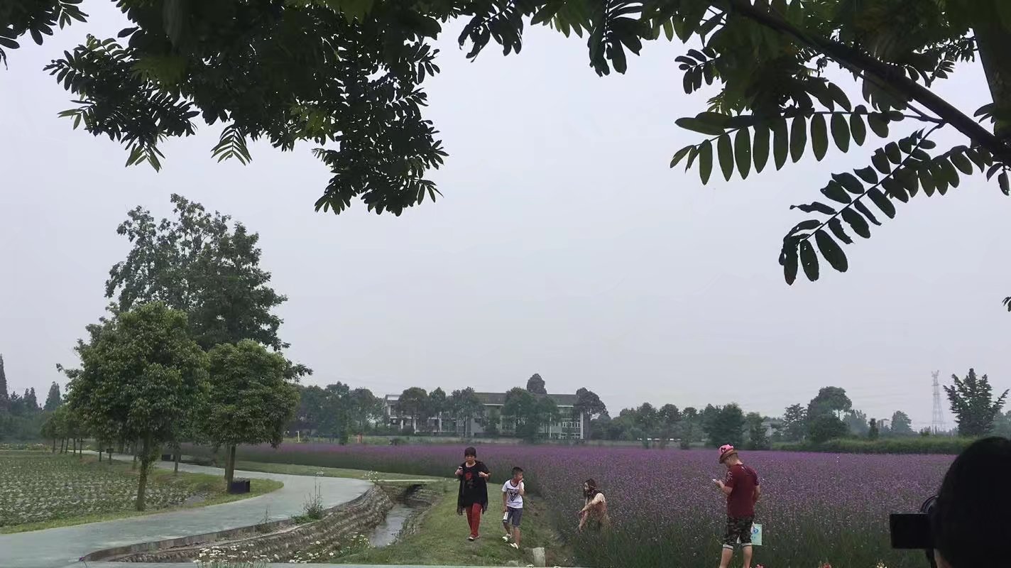 郫都区附近的农家乐和休闲农庄,郫都妈妈农庄照片