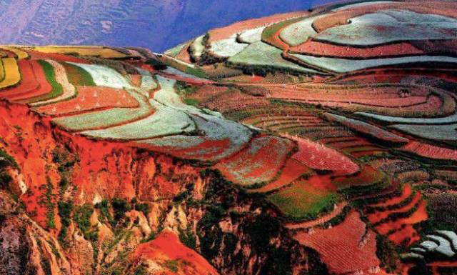 推荐15部涨知识的国产纪录片,国产纪录片评分排行榜前10名