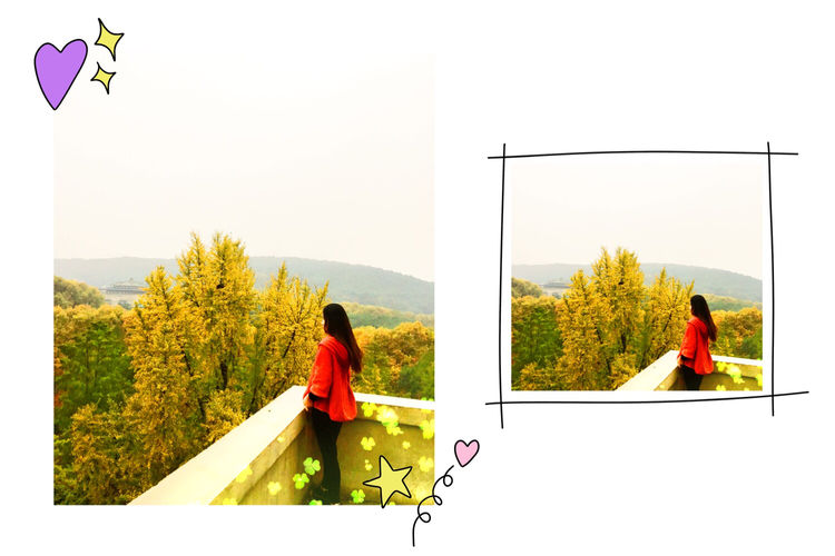 十大最美校园深圳大学,探访最美大学武汉大学