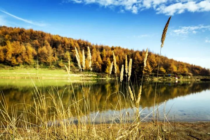 恩施大峡谷七大景点,恩施大峡谷女儿湖美景