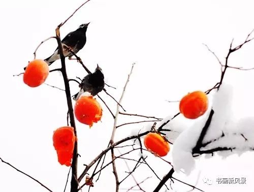 白里透红美颜,白里透红娇颜