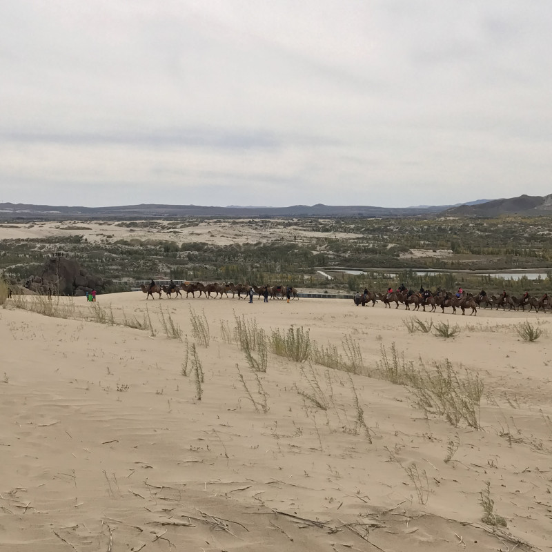自驾赤峰草原2日,自驾赤峰草原视频